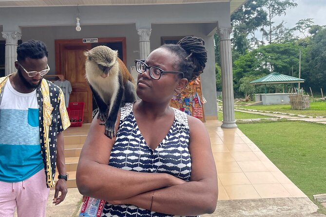 Wli Waterfalls, Mount Afadjato & Tafi Atome Monkey Sanctuary - The $290 Question: Is the Price Fair?